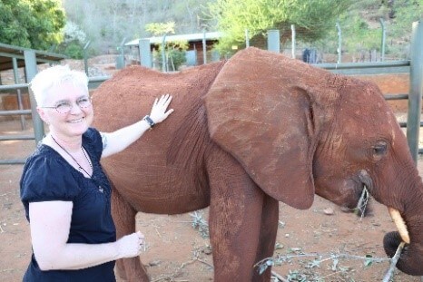 /fileadmin/user_upload/Elefant.jpg /fileadmin/user_upload/Elefant.jpg