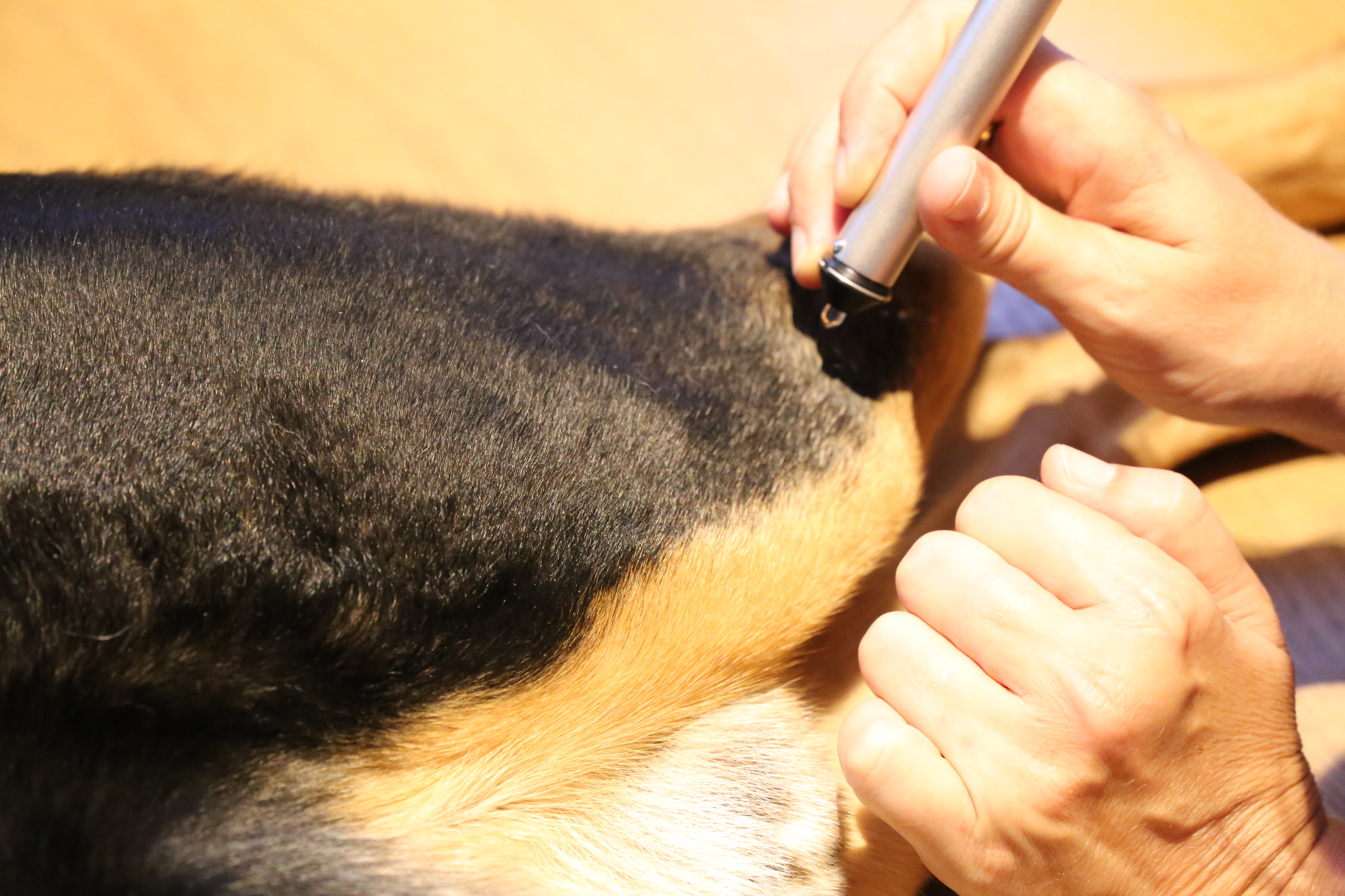 Low-Level-Lasertherapie (LLLT)