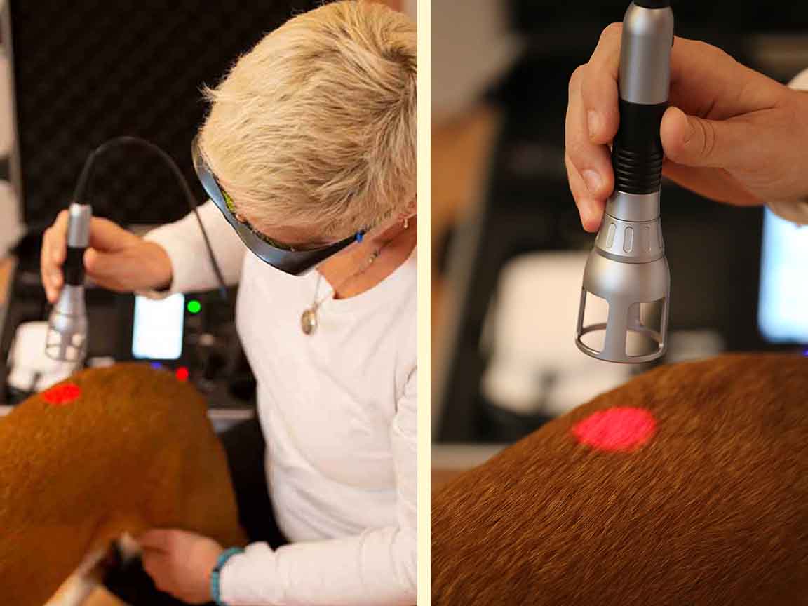 Dioden Hardlasertherapie