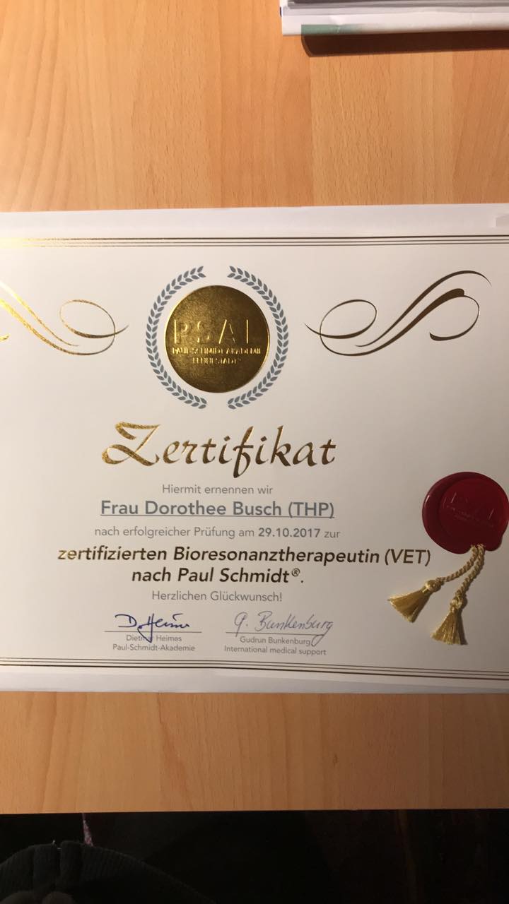 Bioresonanztherapie